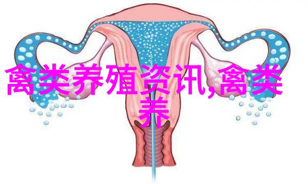 鹌鹑肉营养价值高