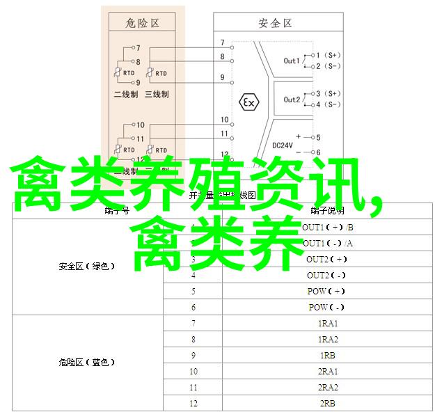 走特色火鸡养殖之路圆致富梦