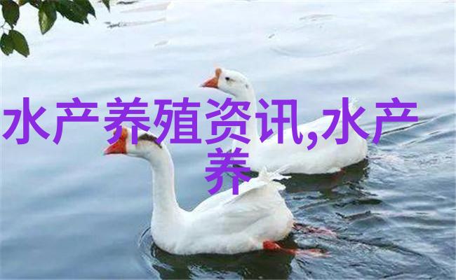 鲷鱼常见之疾病