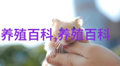 创新技术助力养猪场微生物发酵与浮萍种植实现废水高效处理与资源增值